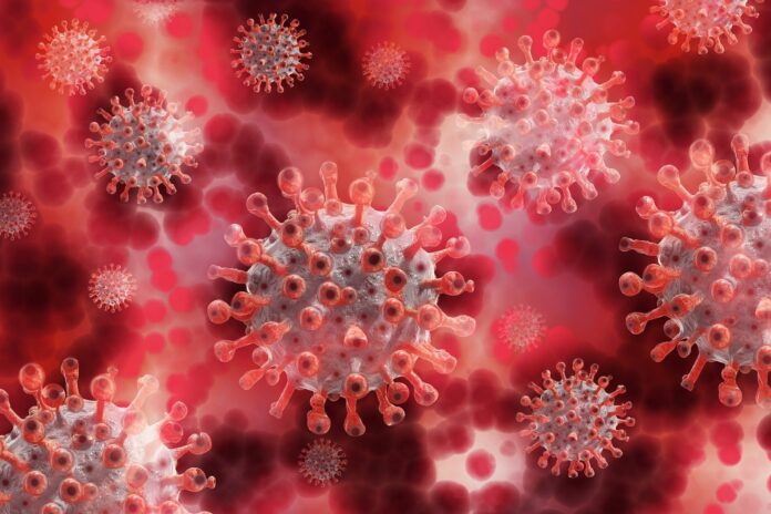 corona_virus